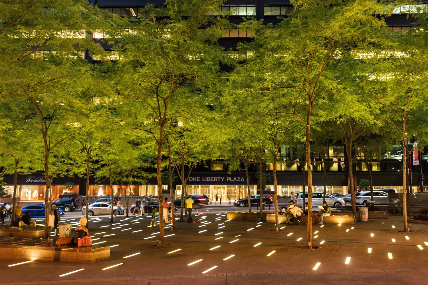 Outdoor image of a city in the evening time ,  street with several trees and cars are seen