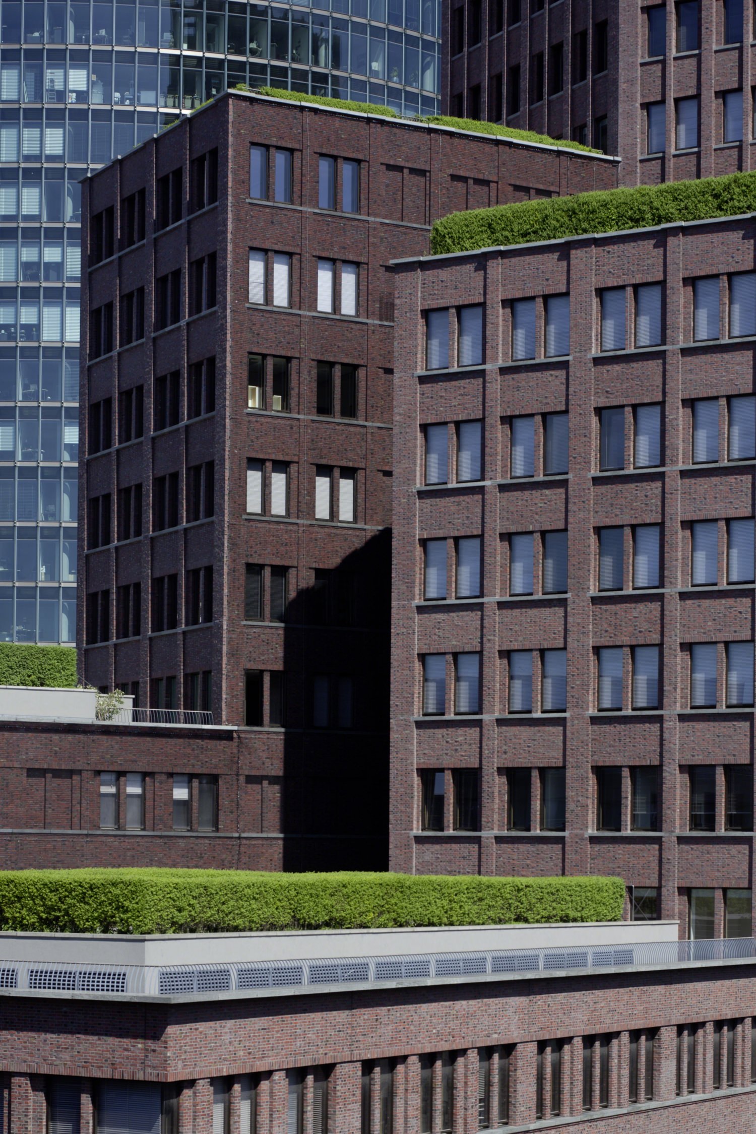 A view of a rooftop of a building that have green grass and plants on it and windows looking out to it.